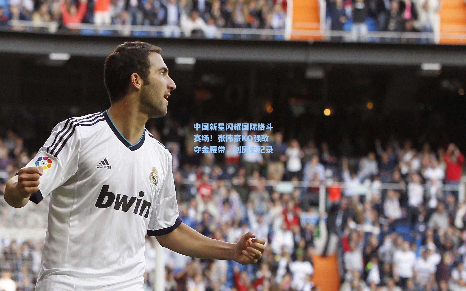中国新星闪耀国际格斗赛场！张伟豪KO强敌夺金腰带，创历史纪录