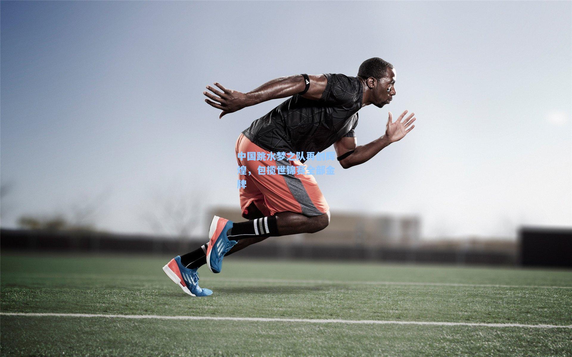 中国跳水梦之队再创辉煌，包揽世锦赛全部金牌