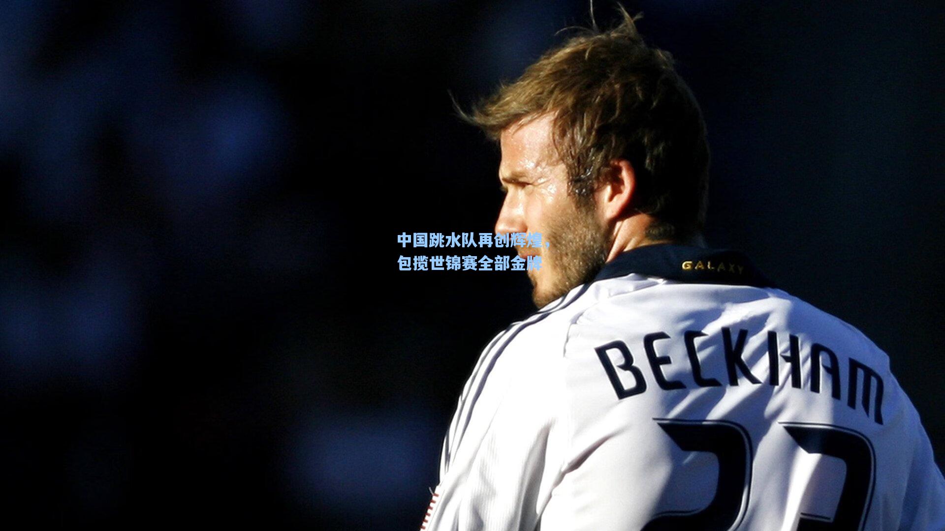 中国跳水队再创辉煌，包揽世锦赛全部金牌